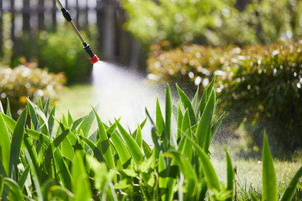 24/7 Emergency Wasp Removal experts in Kincaid, IL